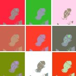 warholizer7960320.jpg