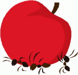 english-alphabet-for-kids-letter-a-ants.gif