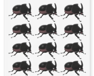 Coconut-Rhinoceros-Beetle-Temporary-Tattoo.png