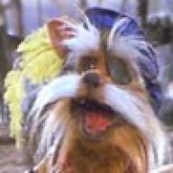 Sir Didymus