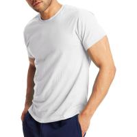 Hanes Men\'s X-Temp Performance T-Shirt 2 Pack