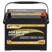 Weize Platinum AGM Automotive Car Battery