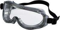 3M Professional Goggle