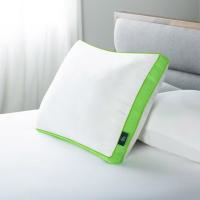 Sertapedic Firm Standard Queen Bed Pillow