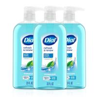 Dial Body Wash Spring Water 3 Pack