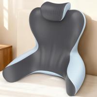 Hamyodo Back Support Pillow