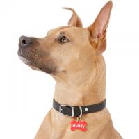 Fido Alert Pet Tags