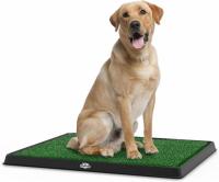 Artificial Grass Puppy Pee Training Pad for Dogs