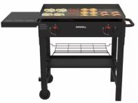 Nexgrill 2-Burner 29in Propane Gas Grill with Griddle Top