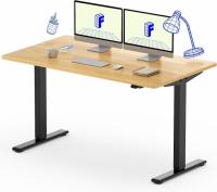 FlexiSpot 55in Electric Adjustable Sit Stand Office Desk