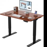 Flexispot Pro 3 Stages Dual Motor Electric Standing Desk