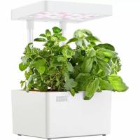 Back to the Roots Hydroponic Grow Kit Indoor Garden