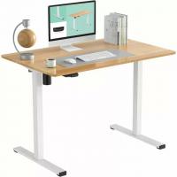 Flexispot 48in White Maple Standing Adjustable Desk