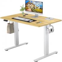 Standing Desk Adjustable Height Electric Standing Desk