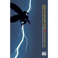 Batman The Dark Knight Returns eBook