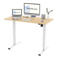 FlexiSpot 40x24 Electric Height Adjustable Standing Desk