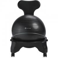 Gaiam Classic Balance Ball Chair