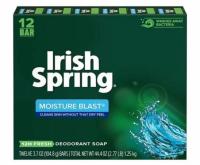 Irish Spring Moisture Blast Deodorant Bar Soap 12 Pack