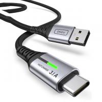 Iniu USB-C Charger Cable 6.6ft 3.1A Type C