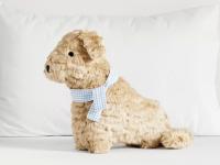 Pottery Barn Luca Puppy Pillow