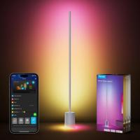 Govee 2 with Matter RGBIC Warm Cool White LED Floor Lamp