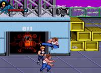 Double Dragon Trilogy PC