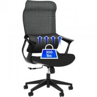 Flexispot OC2 Wide Seat Ergonomic Office Chair