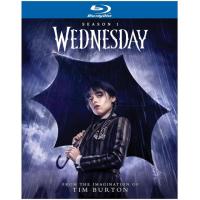 Wednesday The Complete First Season Blu-ray