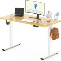 Flexispot 48x24 EN1 Whole-Piece Standing Desk