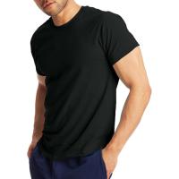 Hanes X-Temp Performance T-Shirt 2 Pack