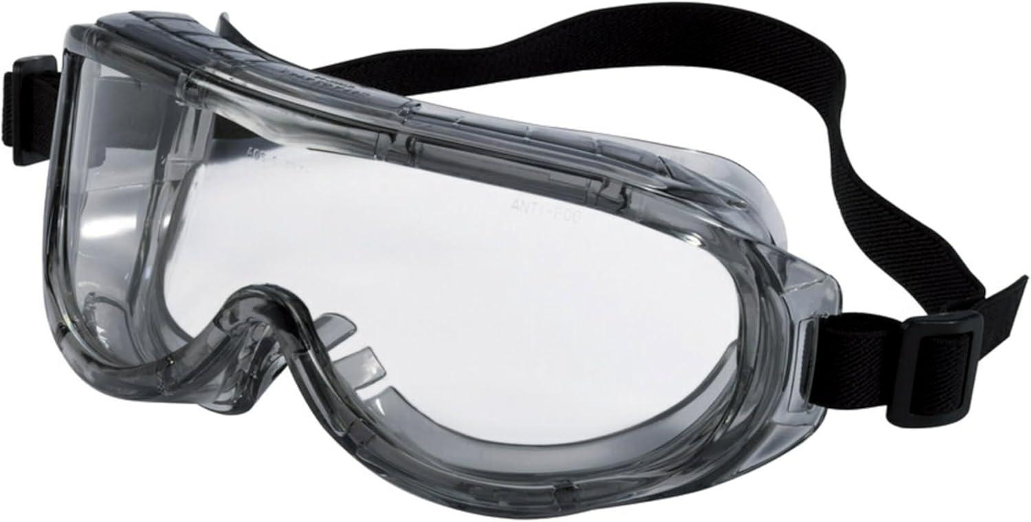 3M Professional Goggle for $6.79