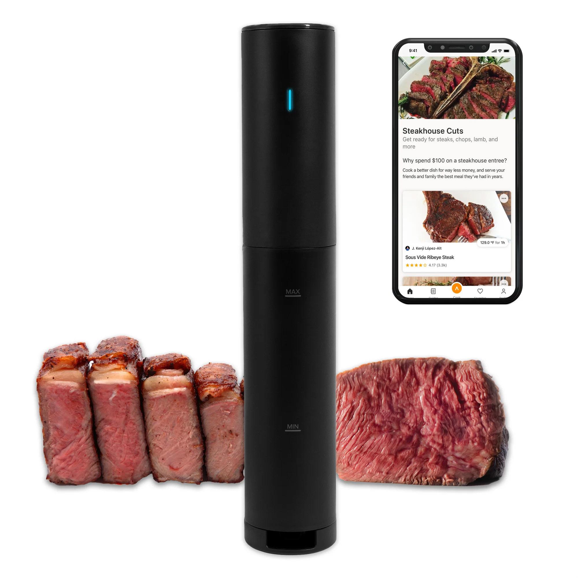 Anova Culinary Sous Vide Precision Cooker Mini Lite for $30