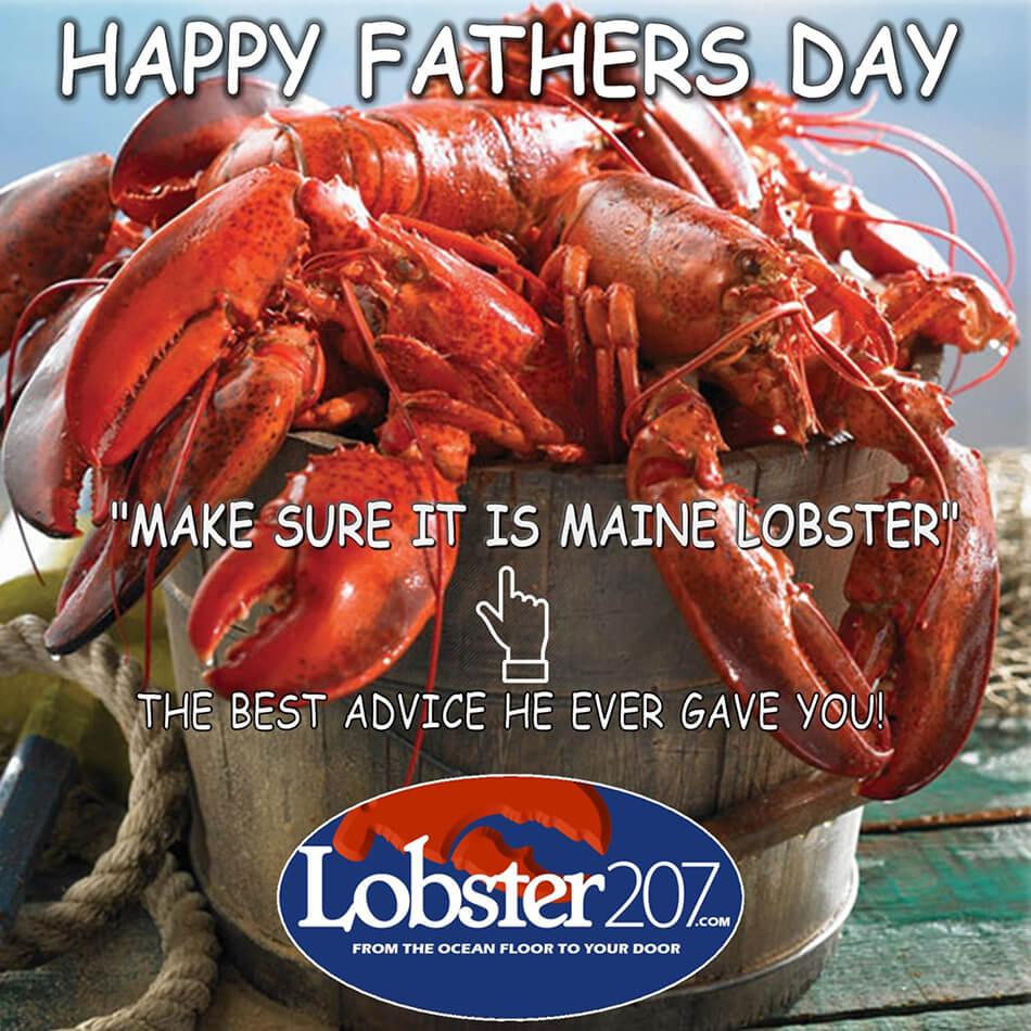 20lbs Live Maine Lobsters for $155 Shipped