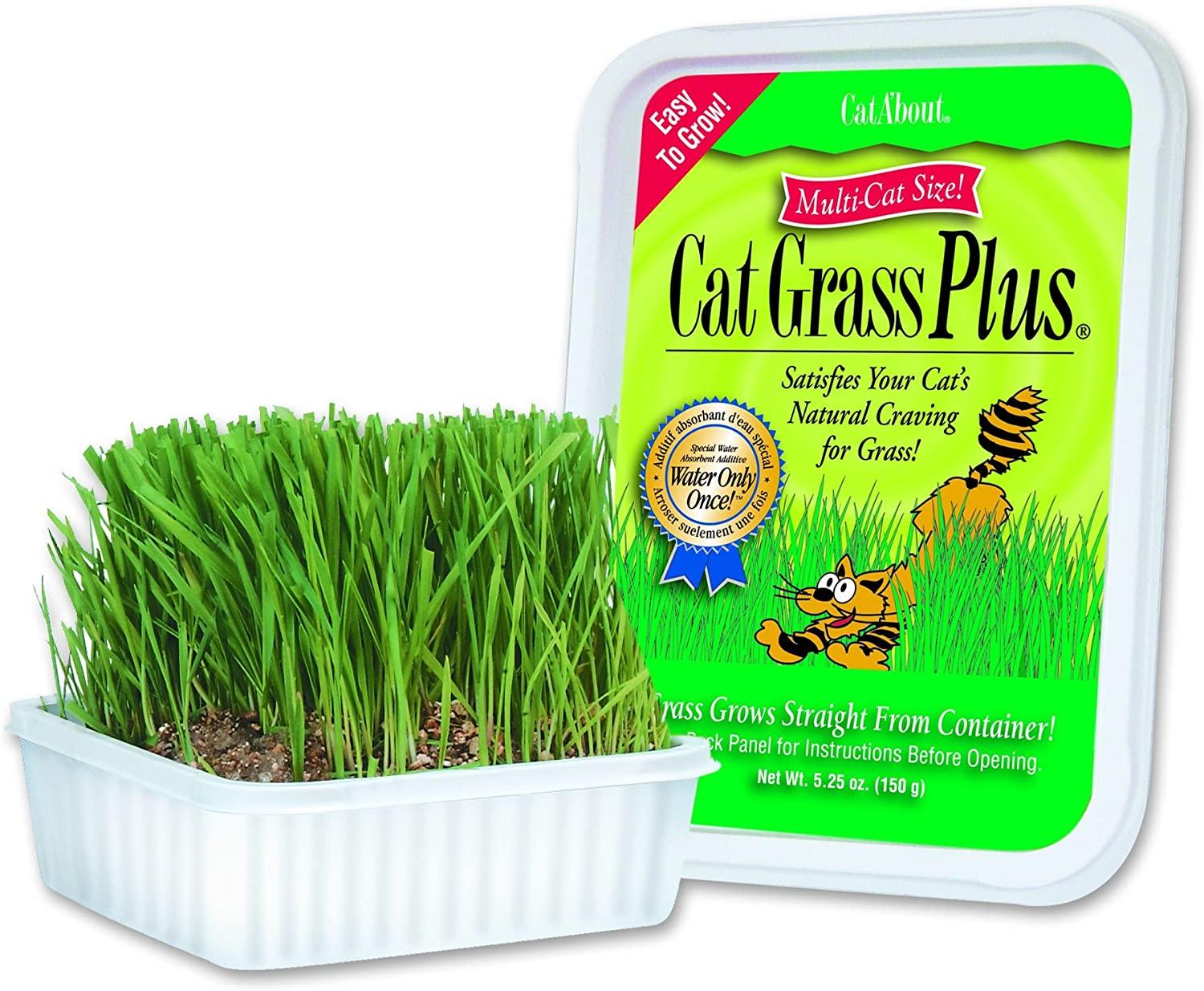 Cat-About by MiracleCorp Gimborn Single Cat Grass Plus for $2.38 Shipped