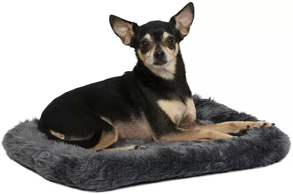 18in MidWest Bolster Pet Bed for $5