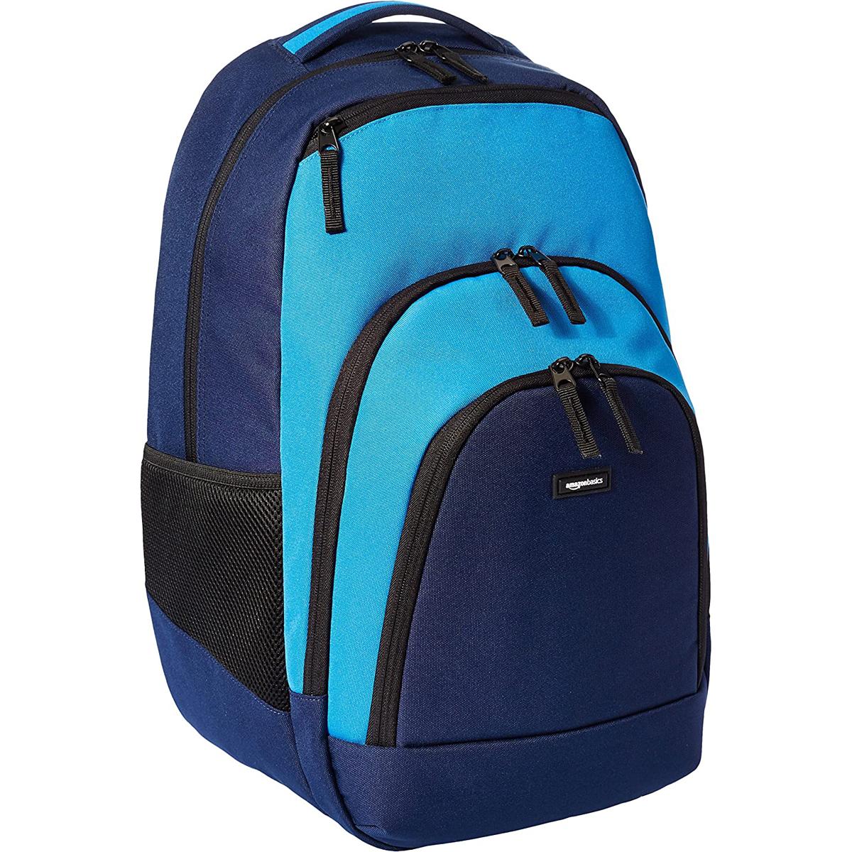 AmazonBasics Campus Backpack for $9.86