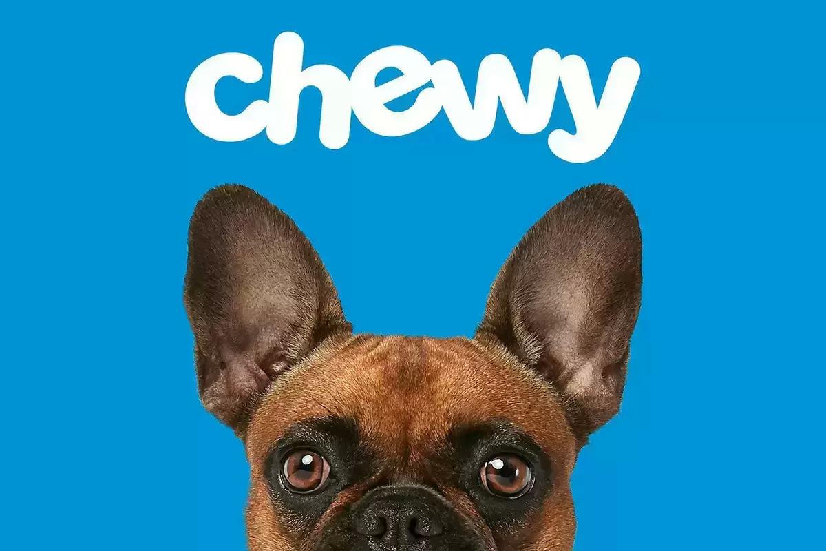 Chewy Discounted Gift Cards for 9% Off