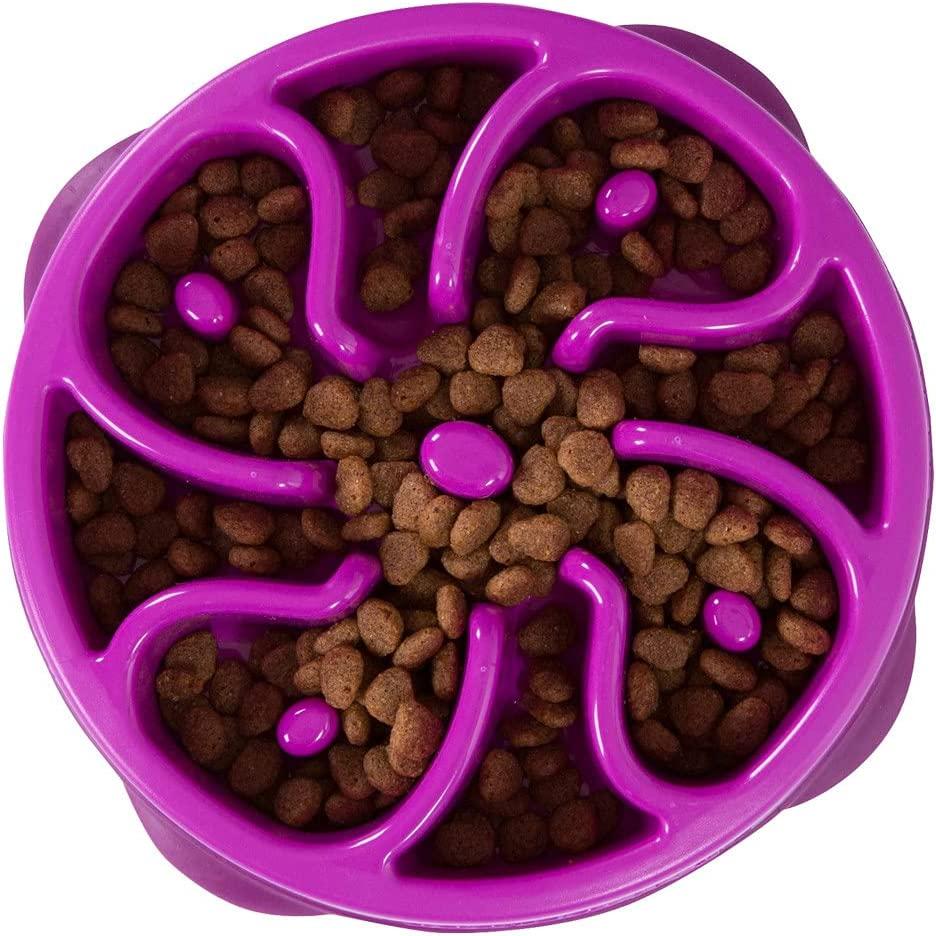 Outward Hound Slow Feeder Dog Bowl for $4.51