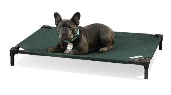 Coolaroo PRO Elevated Pet Bed for $12.60