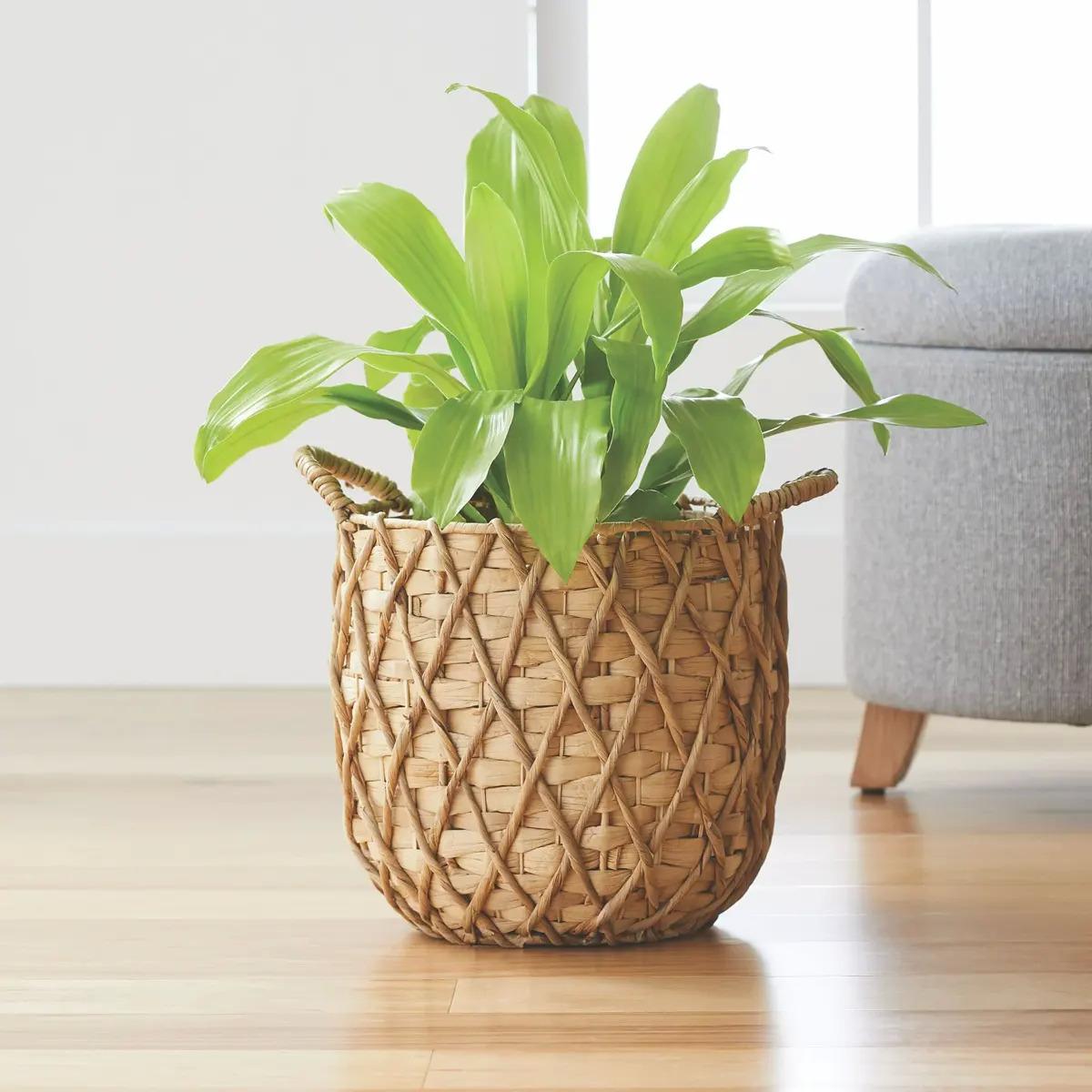 Better Homes and Gardens Basket Planter for $9.94