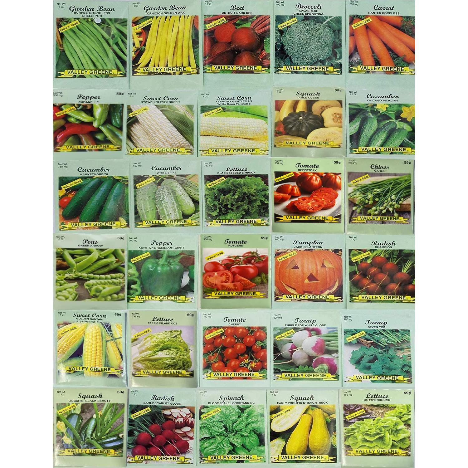 Deluxe Valley Greene Heirloom Vegetable Garden Seeds 30 Pack for $9.99
