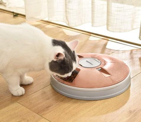 Amazon Basics Automatic Electronic Timed Pet Feeder $15